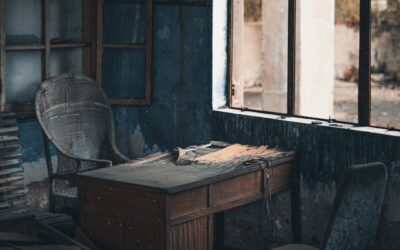 Houtworm of boktor? Zo herken je het verschil