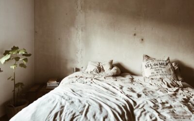 Bedwantsen in huis? Zo voorkom en bestrijd je ze